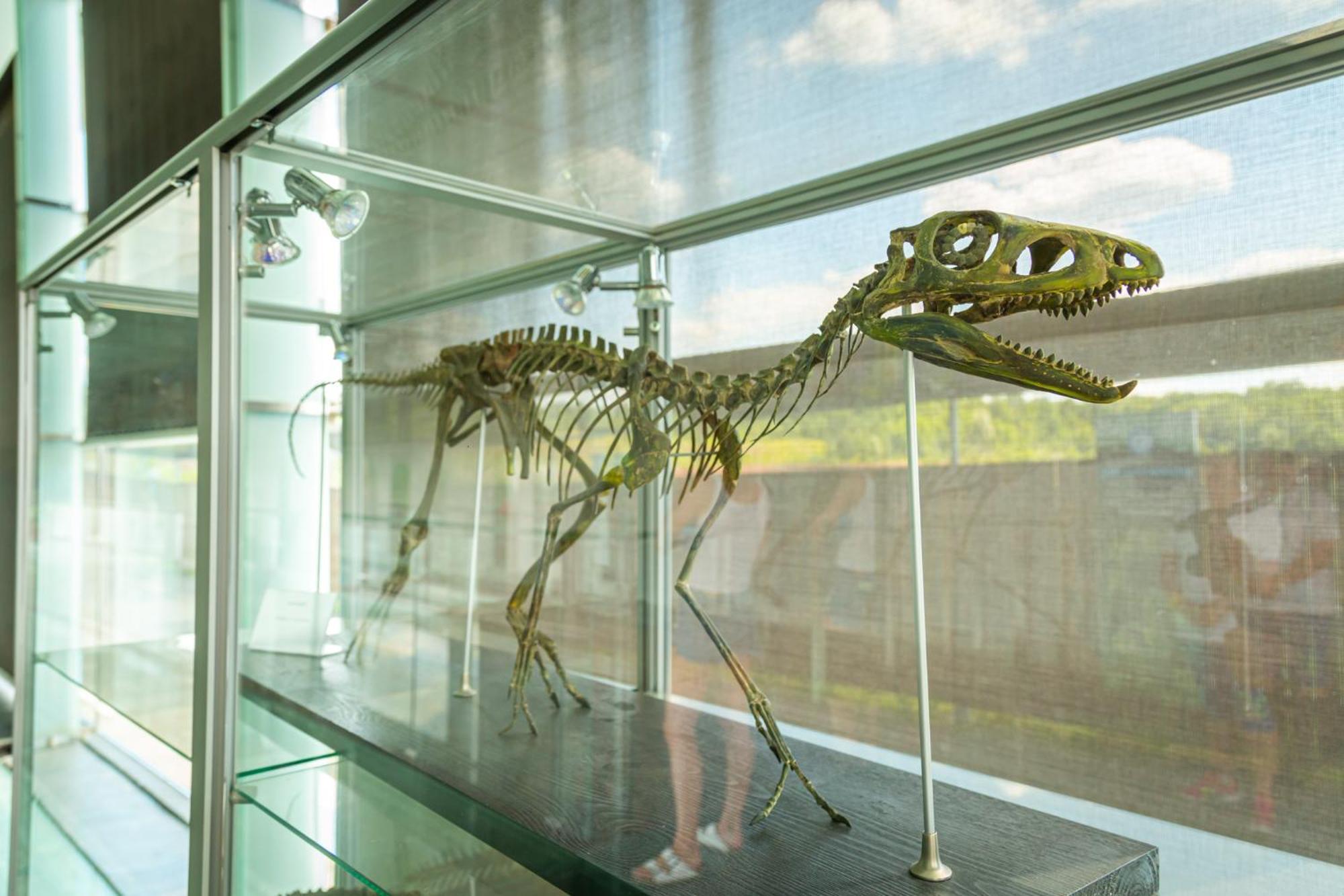 Jurapark * Krascheow